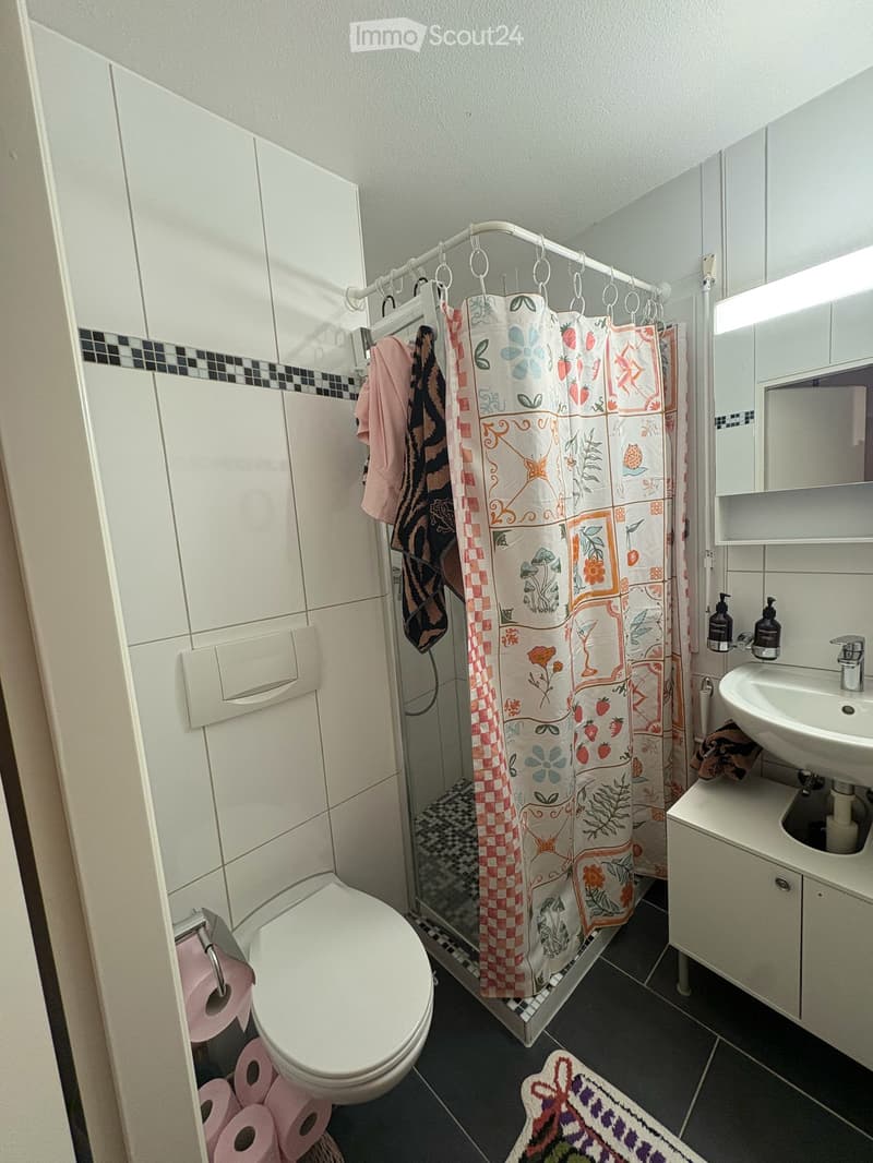 Helles Studio in Bex (6)