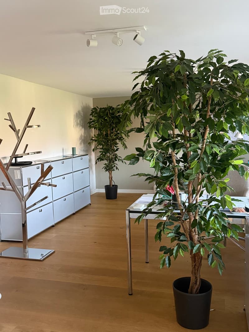 Modern interior with light wooden flooring, a sleek cabinet, a coat rack, a large potted plant, and a small table with papers and a lamp.