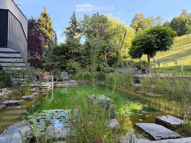 Garden with a pond, surrounded by lush greenery, tall trees, and a wooden deck with lounge chairs. The pond features lily pads and is bordered by rocks and tall plants.