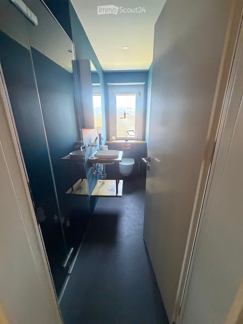 Modern bathroom with blue walls, a sink, toilet, and a large window providing natural light. The space features a sleek design with a glass shower enclosure visible on the left.