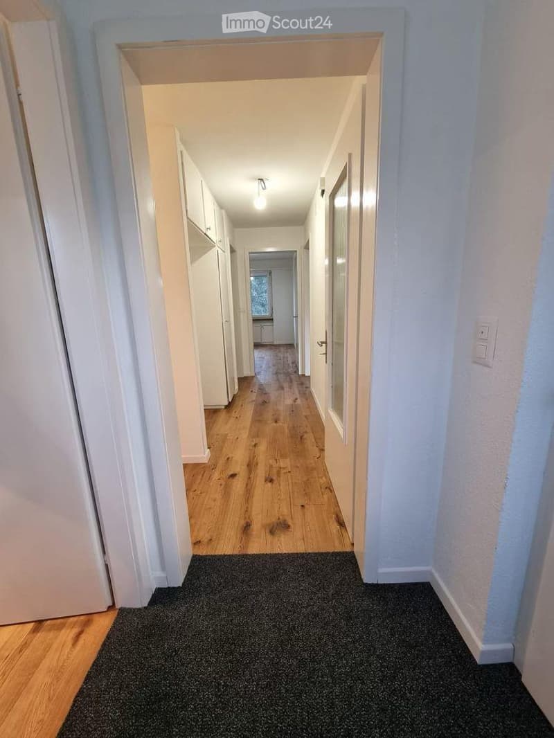 A long, narrow hallway with light blue walls, wooden flooring, and white doors on both sides. The hallway is well-lit with a ceiling light fixture and has a carpeted section at the entrance.