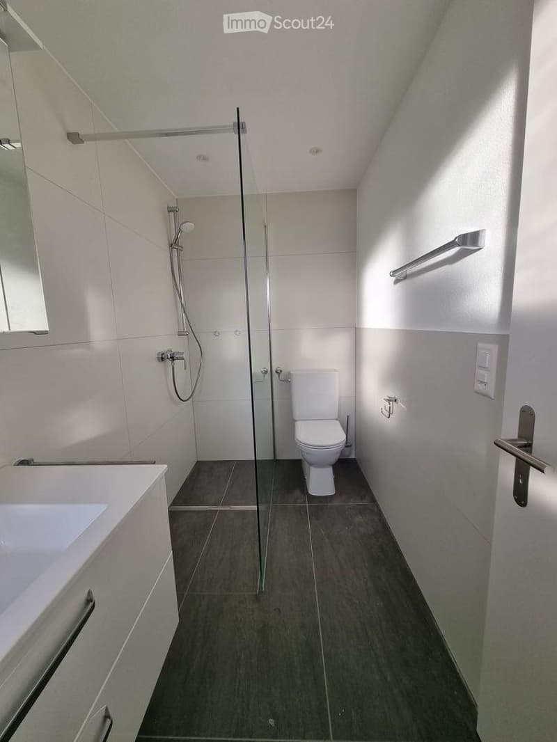 Deliziosa casa a schiera di 4 locali a Niederbuchsiten – Disponibile immediatamente! (11)