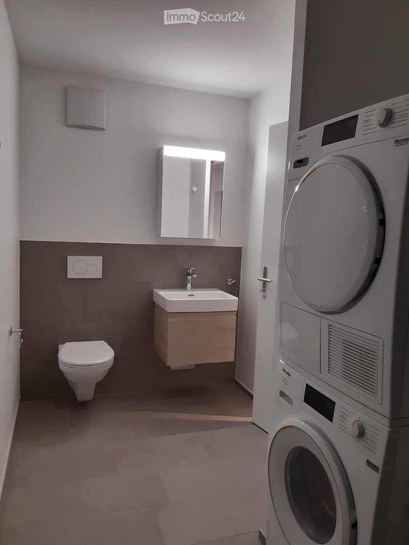 Modern bathroom with a toilet, sink, mirror, and a stacked washing machine/dryer unit. The walls are painted in neutral tones with a dark lower section.