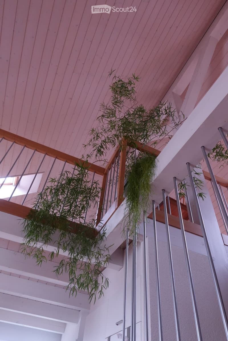 Modern interior corridor with wooden ceiling, white walls, metal railings, and hanging plants.
