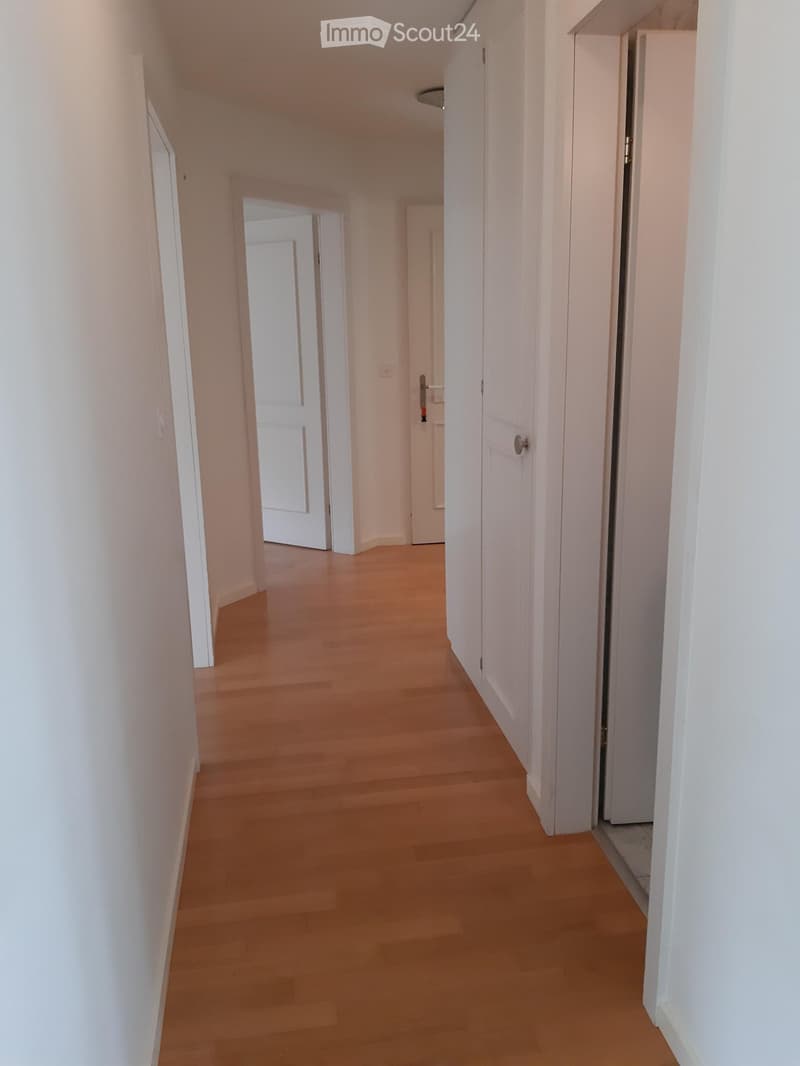 A clean, unfurnished hallway with light wooden flooring and white walls, featuring several closed white doors and a visible light fixture on the ceiling.
