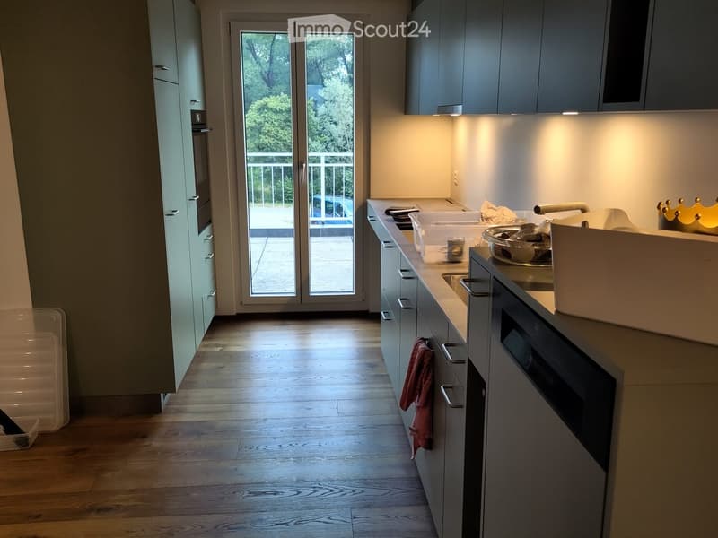 Modern kitchen with grey cabinets, wooden flooring, and a large sliding glass door leading to a balcony.