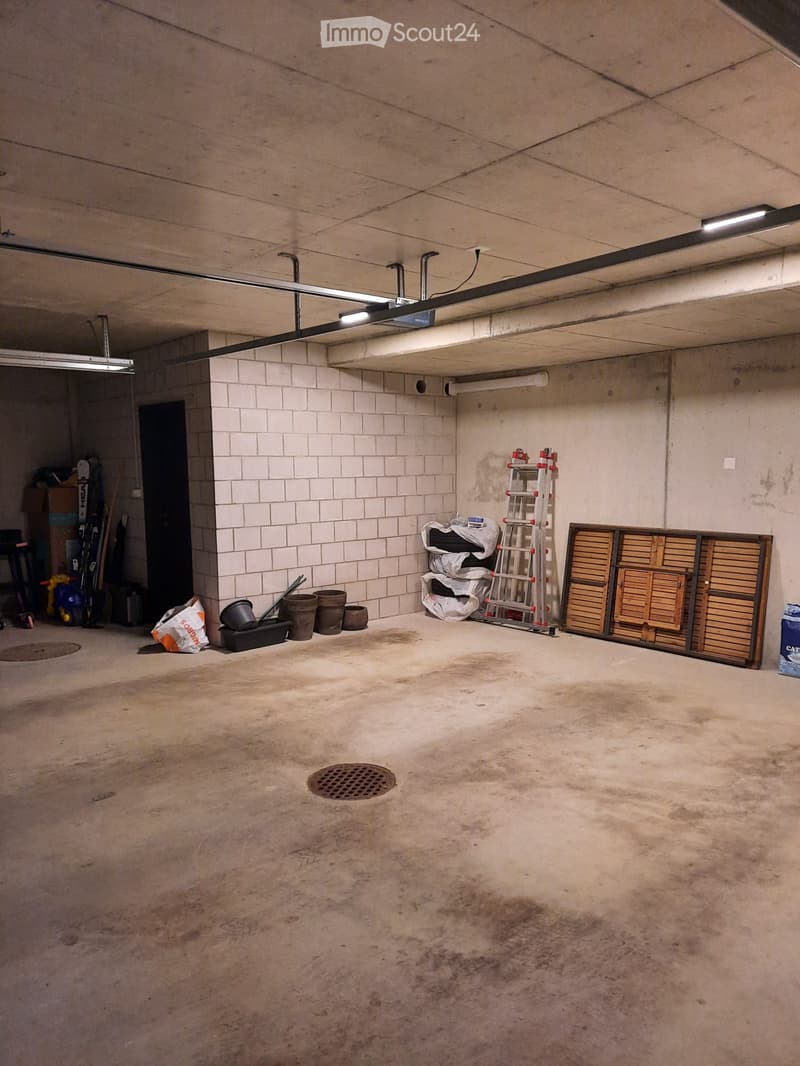 {"type": "Garage", "objects": ["ladder", "potted plants", "storage boxes", "shovel", "snowboard", "skis"], "description": "Empty concrete garage with storage items including a ladder, potted plants, storage boxes, a shovel, a snowboard, and skis.", "visib