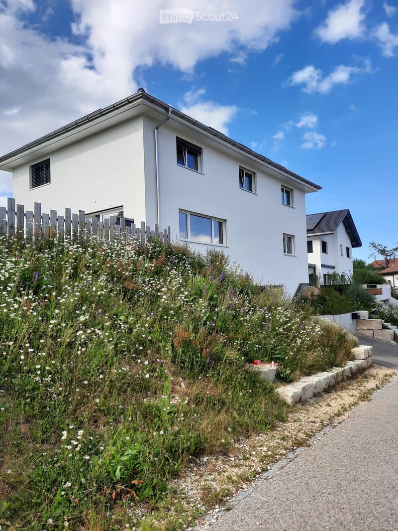 Modern two-story white house with multiple windows, surrounded by a garden with wildflowers and a wooden fence.