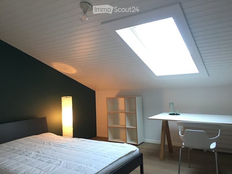 Modern bedroom with a large bed, a white desk with a chair, a tall floor lamp, and a white shelving unit. The room features a skylight and a dark accent wall.