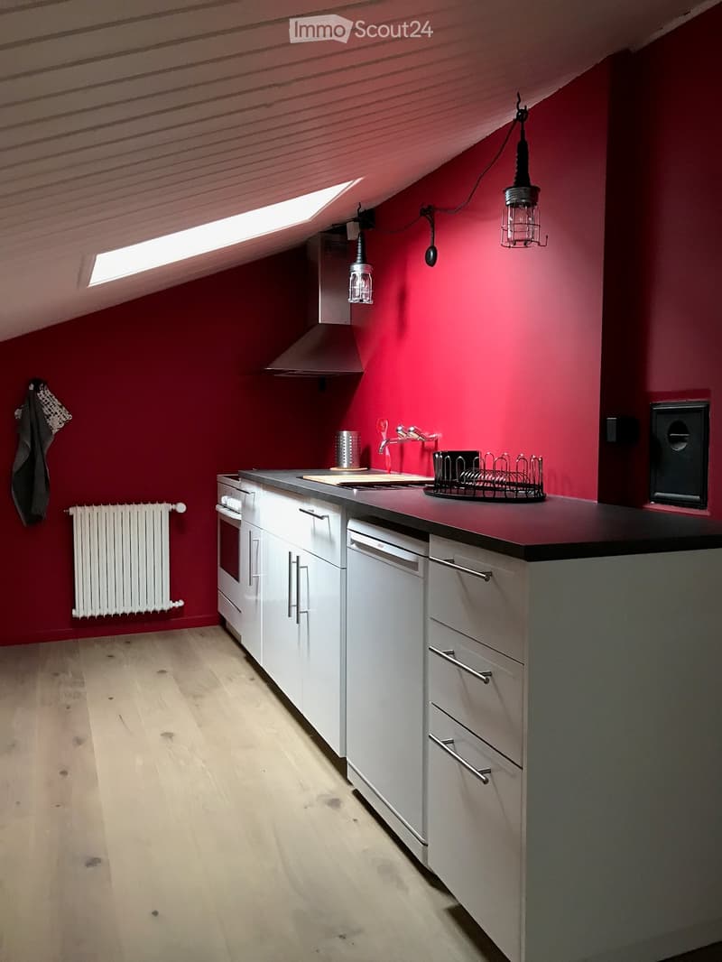 Modern kitchen with white cabinets, red walls, and a black countertop. Features include an oven, dishwasher, faucet, dish rack, radiator, and hanging light fixtures.