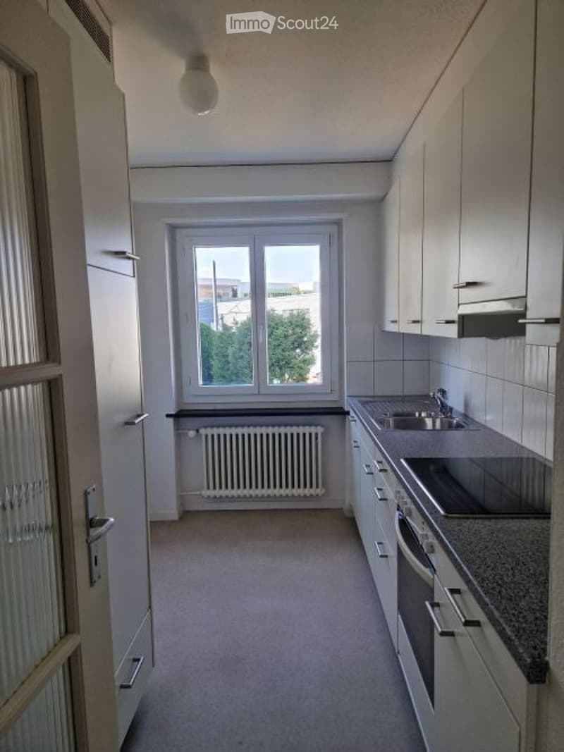 Empty kitchen with white cabinets, stainless steel sink, and a window overlooking a tree-lined street.
