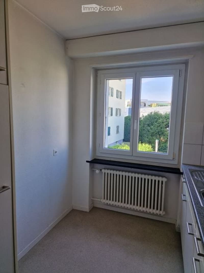 Empty room with white walls, a window with white frame, a radiator below the window, and a grey carpeted floor.