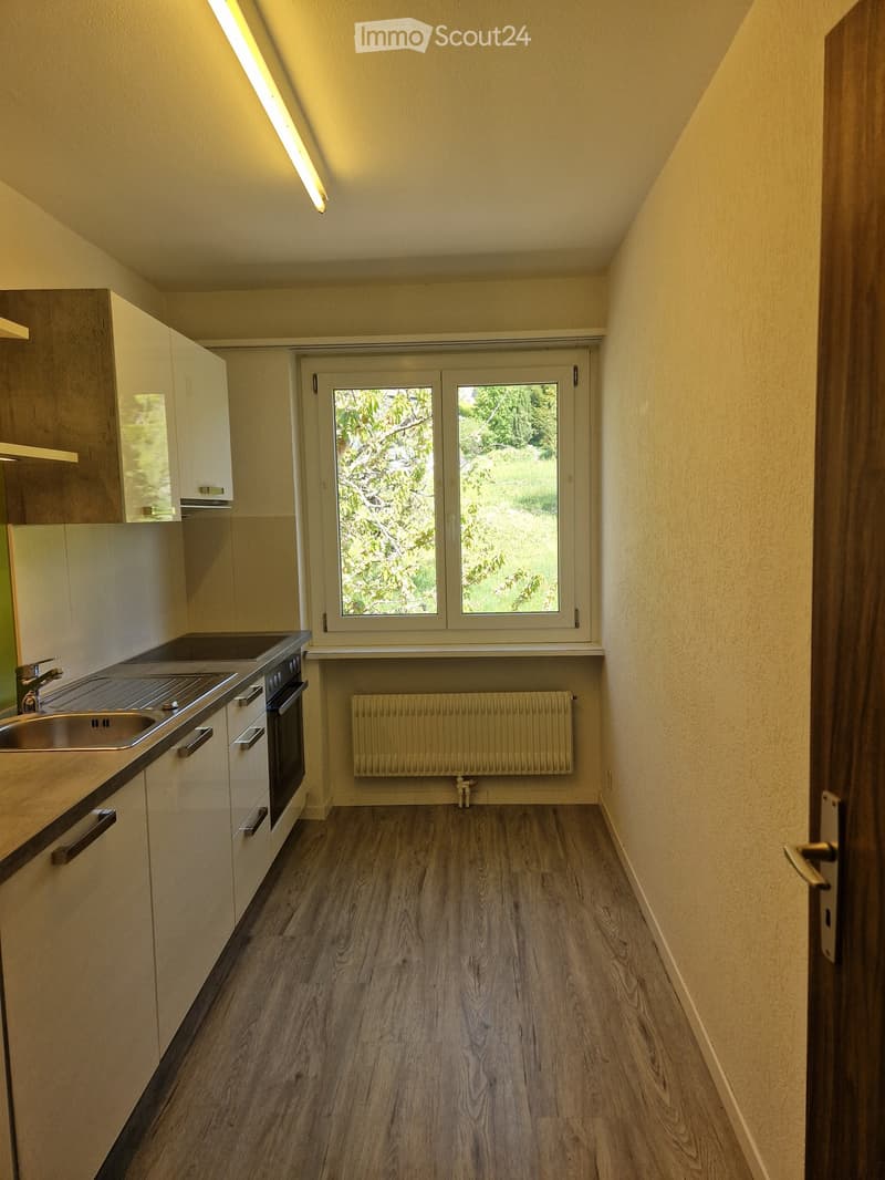Charmante 4.5-Zimmer-Wohnung mit Balkon und schöner Aussicht in Leubringen (1)