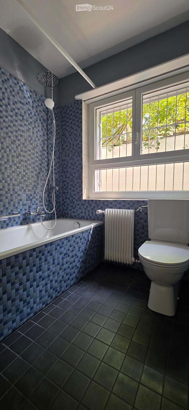 Bathroom with blue checkered tiles, bathtub, toilet, showerhead, and radiator. Large window with view of greenery.