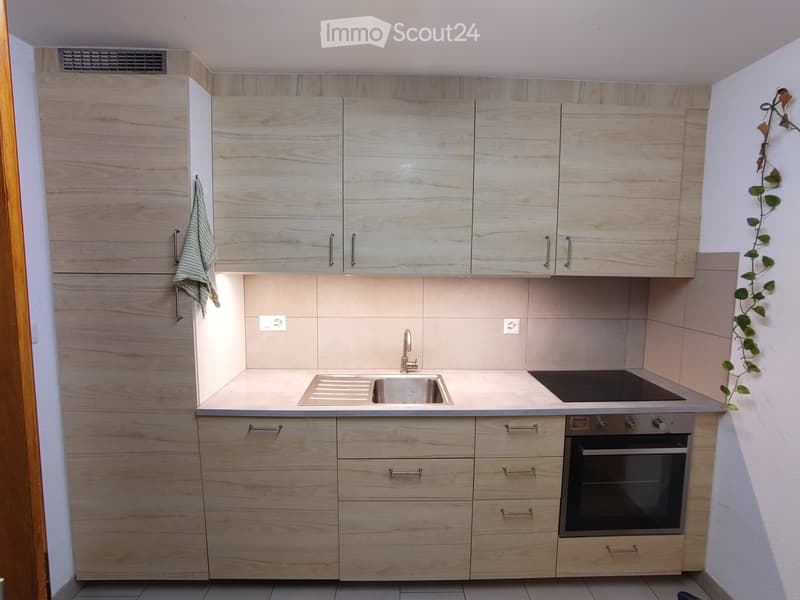 Modern kitchen with light wood cabinets, stainless steel sink, and built-in oven. Features a clean, minimalist design with a towel hanging on the side.