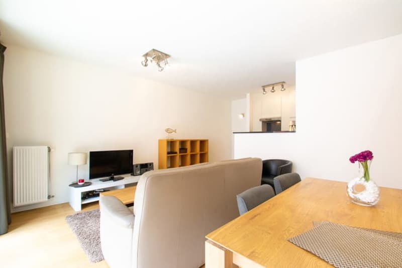 Bright living room with a light grey sofa, wooden dining table, chairs, TV, lamp, radiator, and a small shelf with decorative items.