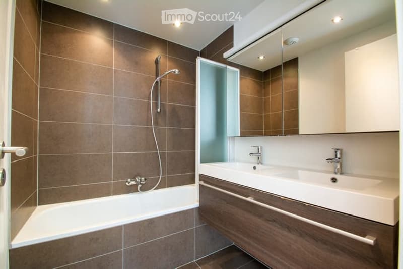 Modern bathroom with a white bathtub, double sink vanity, large mirror, and glass-enclosed shower area. Brown tiled walls and wooden cabinetry.