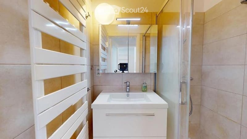 Modern bathroom with a white vanity, a round ceiling light, a large mirror, and a glass-enclosed shower stall.