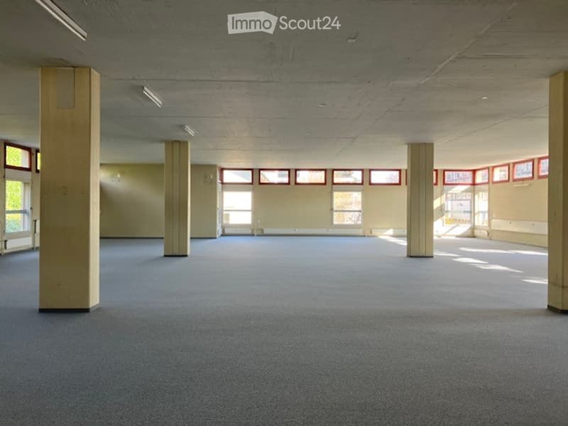 Empty room with carpeted floor, white walls, large windows, and pillars