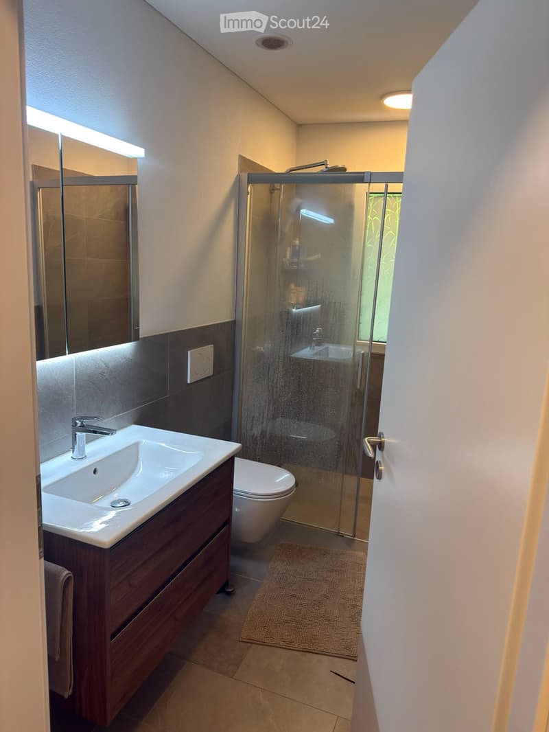 Modern bathroom with a white sink, dark wooden cabinet, toilet, glass-enclosed shower, and a mirror with built-in lighting.
