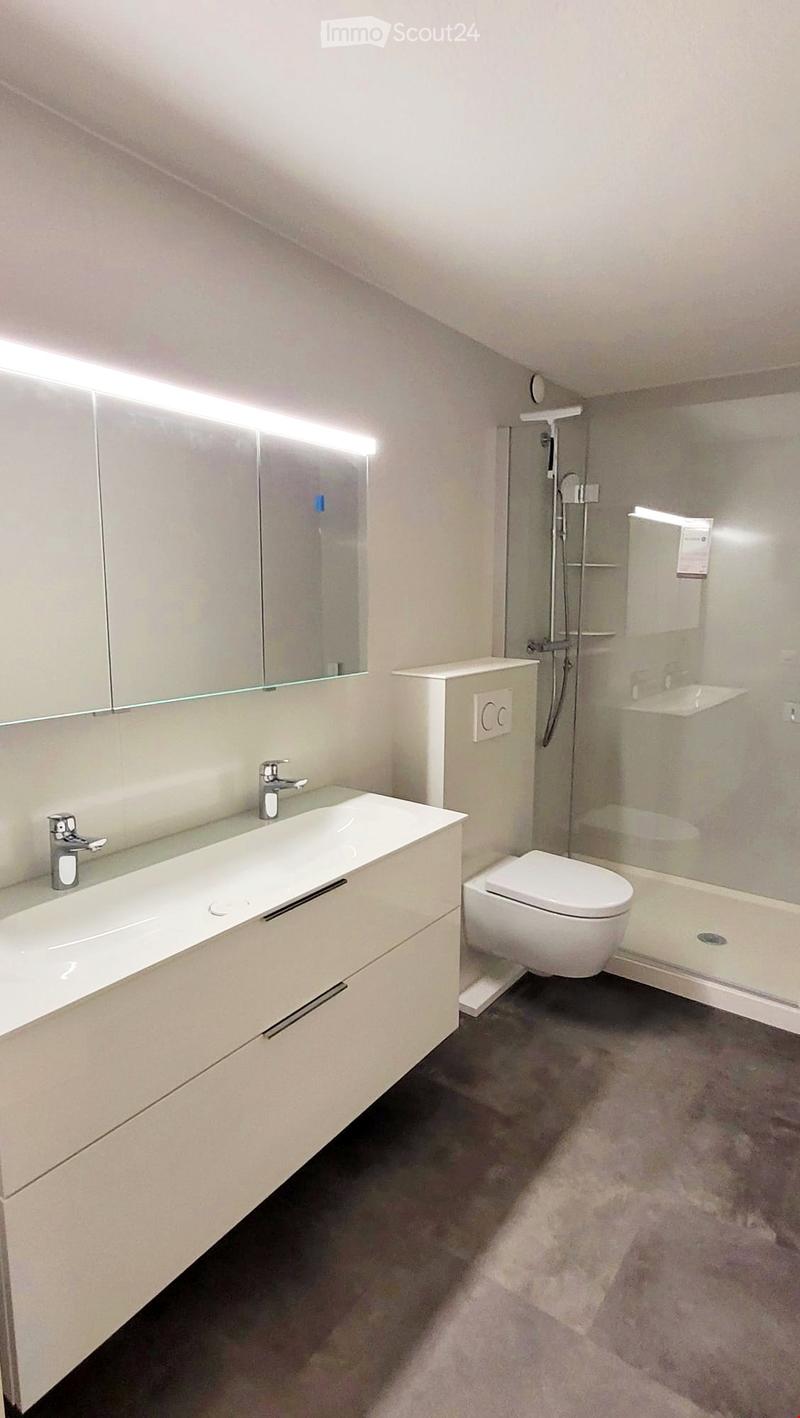 Modern bathroom with a white sink, mirror, toilet, and glass-enclosed shower area.