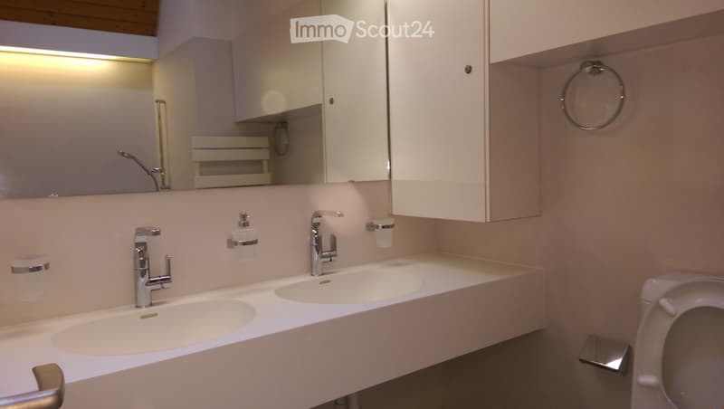 Modern bathroom with double sink, mirrored cabinet, and built-in storage. Features sleek chrome fixtures and soft lighting.