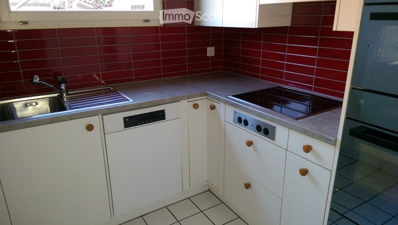 Modern kitchen with white cabinets, stainless steel sink, dishwasher, and induction cooktop. Red tiled backsplash and tiled flooring.