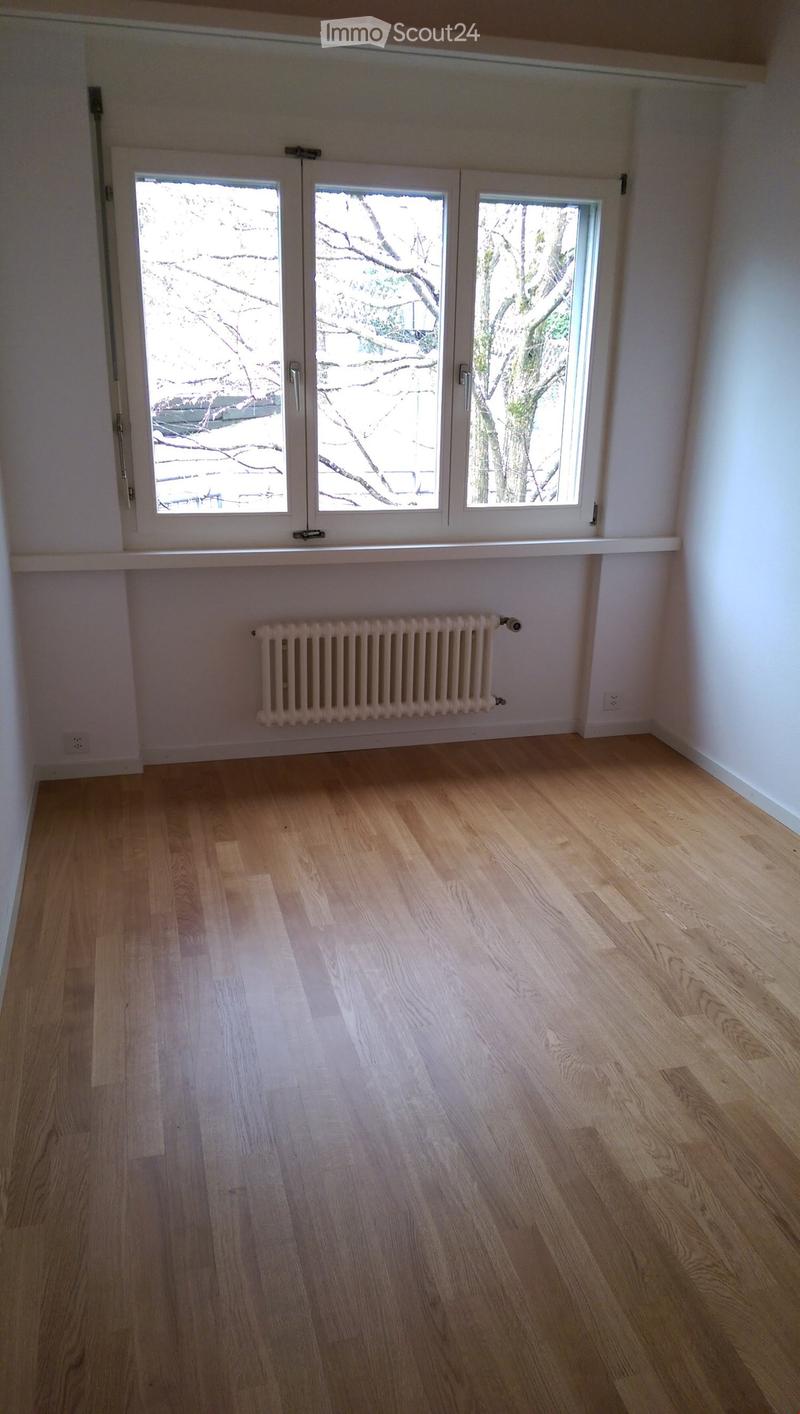 Empty room with light wooden flooring, white walls, and a radiator below a large window with multiple panes.
