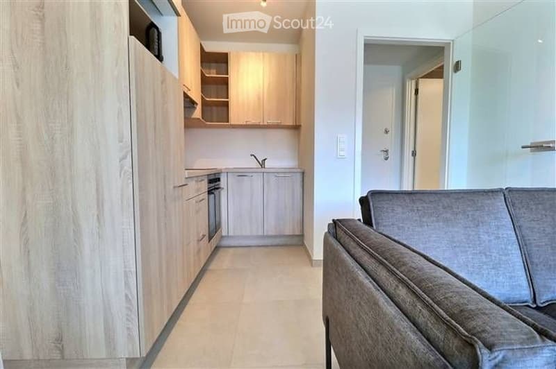 Modern, open-plan living and kitchen area with light wood cabinets, a grey sofa, and a sleek kitchen setup.