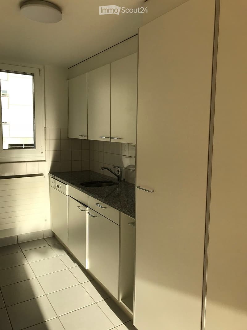 Modern kitchen with white cabinets, dark countertop, sink, and dishwasher. Natural light from a window illuminates the space.