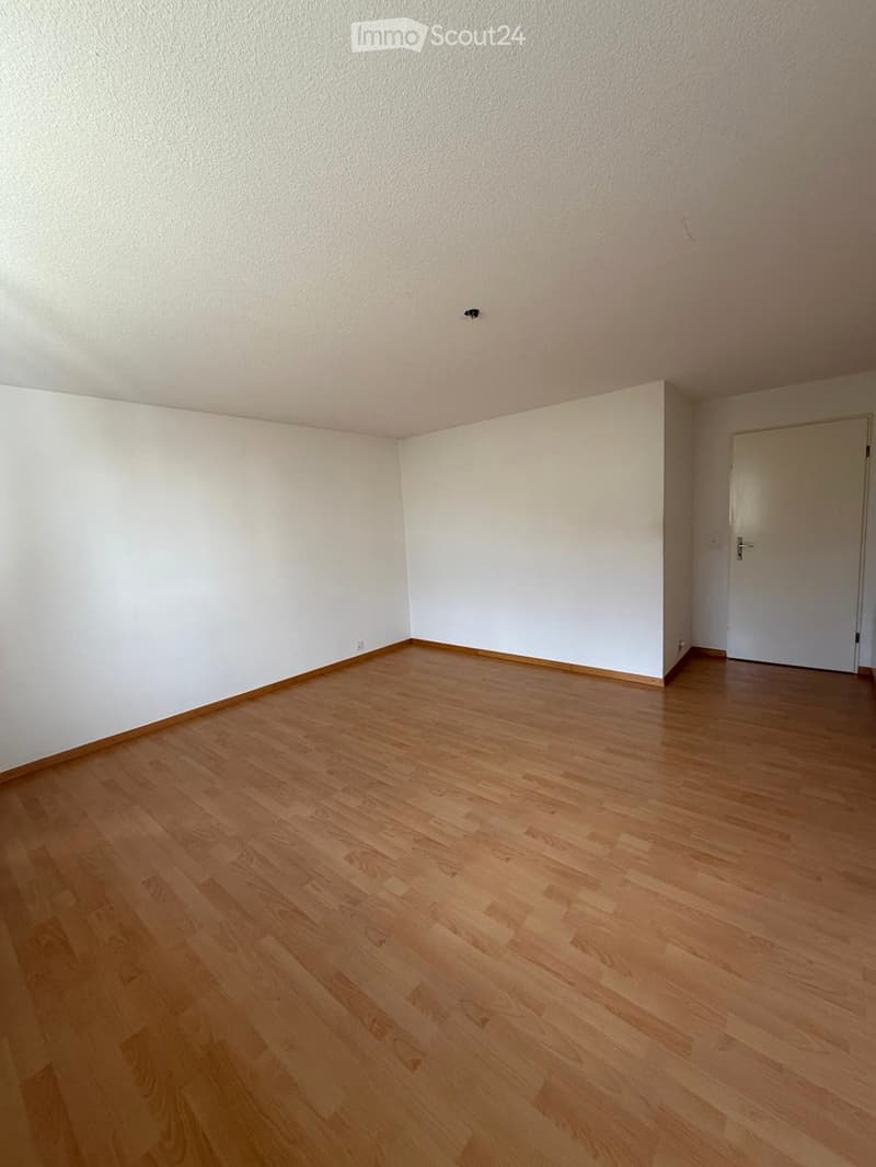 empty room, wooden floor, white walls, white door, power outlets