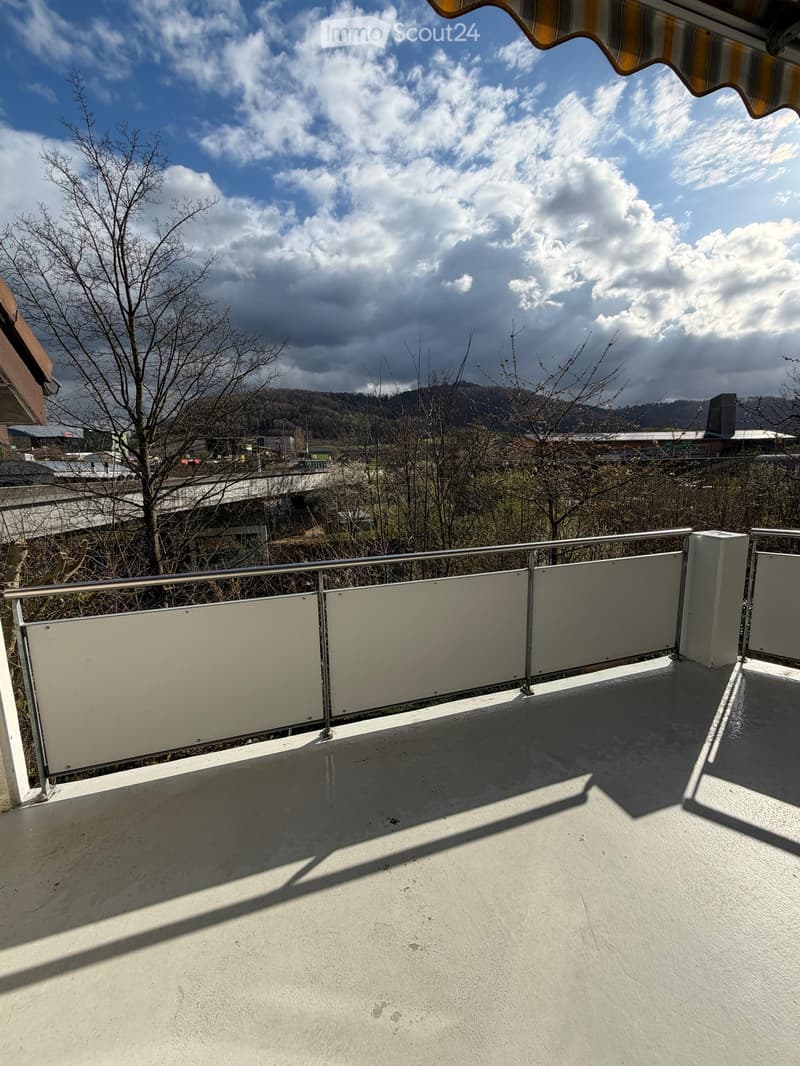 Balcony with metal railing, grey panels, and a view of a landscape with trees and a bridge.