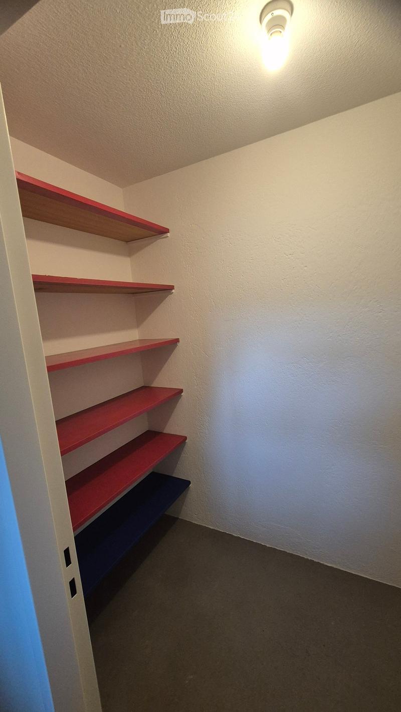 Empty closet with red wooden shelves and a single blue shelf at the bottom, illuminated by a ceiling light fixture.