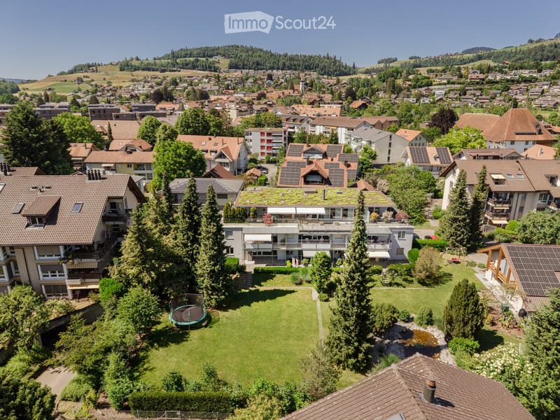 Aerial view of a suburban neighborhood with multiple houses, green lawns, trees, and a trampoline in the foreground.