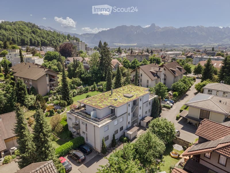 Aerial view of a residential area with multiple buildings, green spaces, and a scenic mountain backdrop.