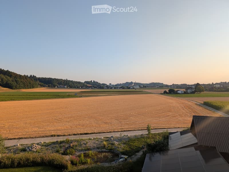 A rural landscape with a large field, a small pond, and a few scattered houses in the distance.