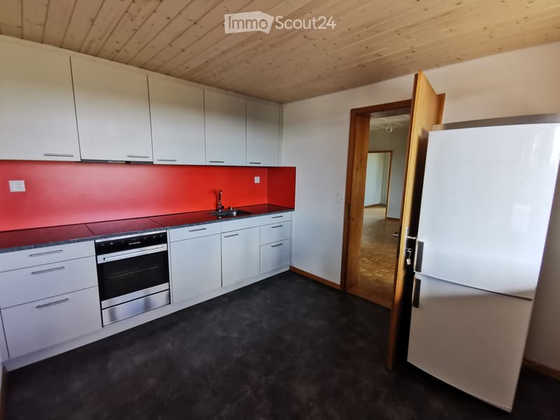 Modern kitchen with white cabinets, stainless steel oven, sink, and faucet, red backsplash, and dark flooring.
