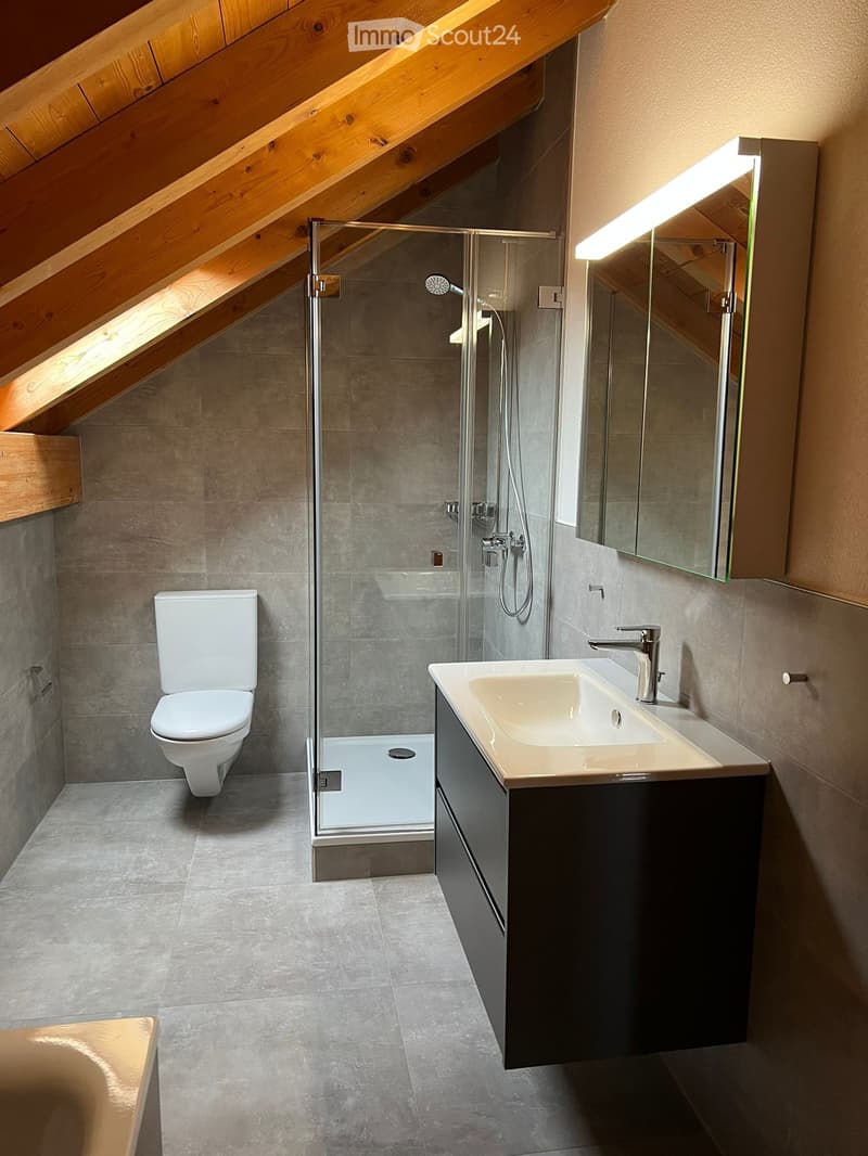 Modern bathroom with a toilet, sink, and walk-in shower. Features wooden beams, grey tiles, and a sleek vanity.