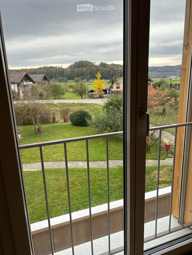 Appartamento mansardato spazioso e bellissimo in una casa colonica ristrutturata a Herzogenbuchsee, quartiere di Oberönz (19)
