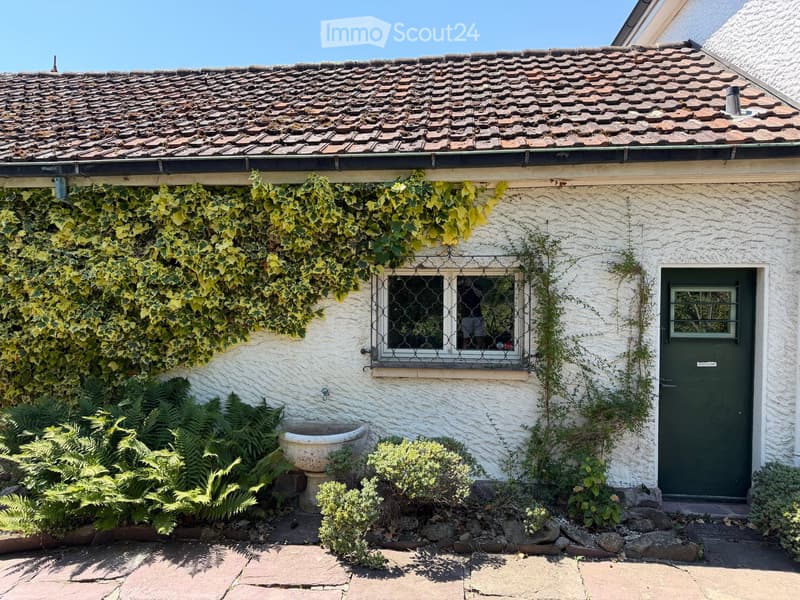A charming white-walled cottage with a tiled roof, green ivy climbing the facade, a decorative window with metal bars, a green front door, and a small garden with ferns and shrubs.