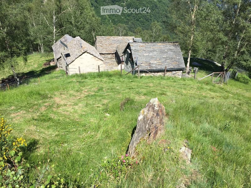 A rural setting with three stone buildings, surrounded by green grass, trees, and a mountainous backdrop.