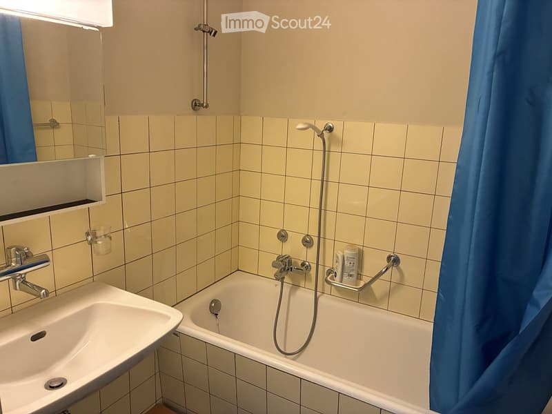 Bathroom with a sink, bathtub, shower hose, mirror, and a small shelf holding a cup and bottle. Blue shower curtain is visible.