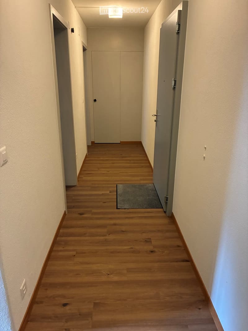 Empty hallway with wooden flooring, white walls, and closed doors on both sides.