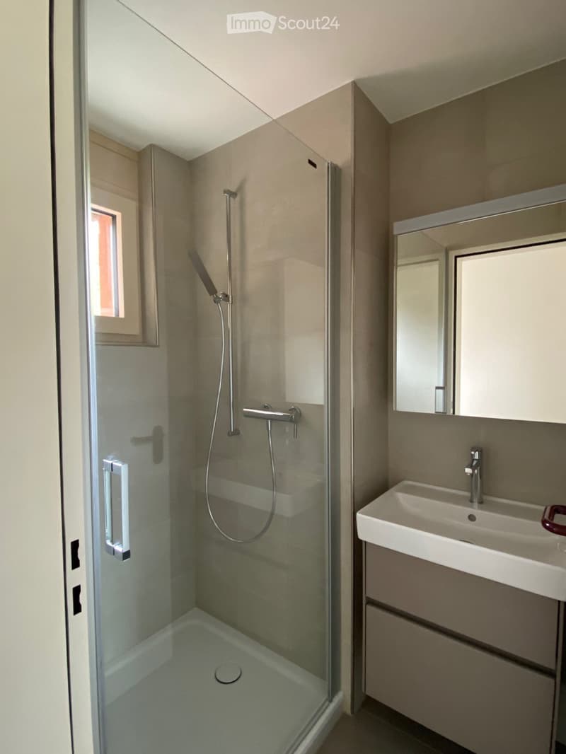 Modern bathroom with a glass-enclosed shower, a white sink with a chrome faucet, and a mirror above the sink.