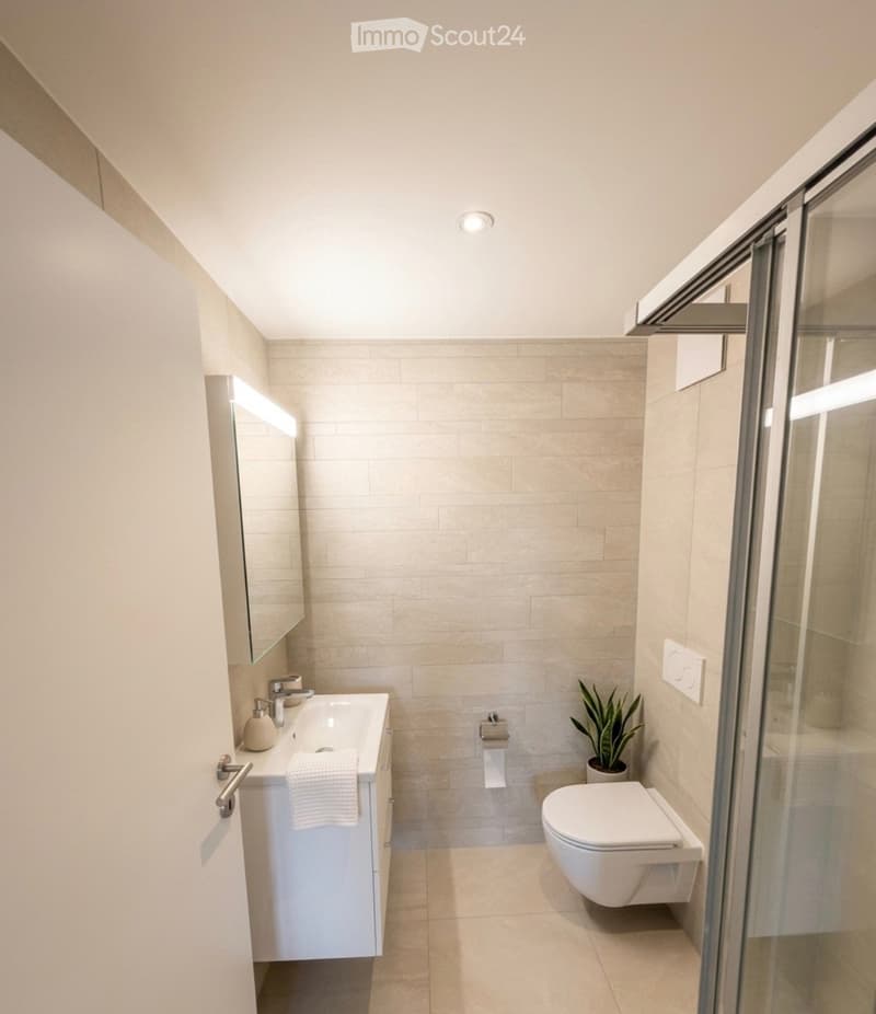 Modern bathroom with white tiles, a sink with a mirror, a toilet, a glass shower enclosure, and a small potted plant.