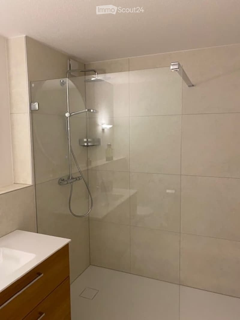 Modern bathroom with a glass-enclosed shower stall, a sink with wooden cabinetry, and a sleek, contemporary design.