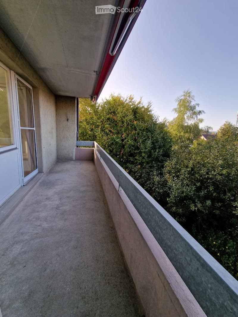 Concrete balcony with a low wall, overlooking a green area with trees and bushes.