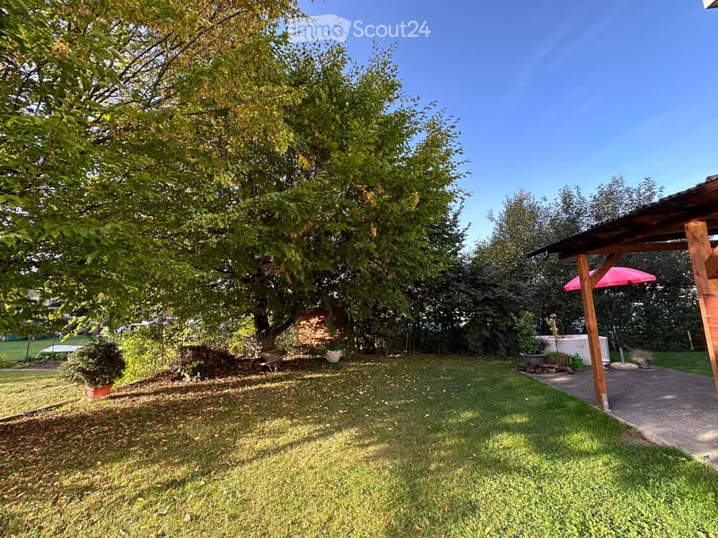 Well-maintained garden with a large tree, grassy lawn, paved pathway, wooden pergola, and potted plants.