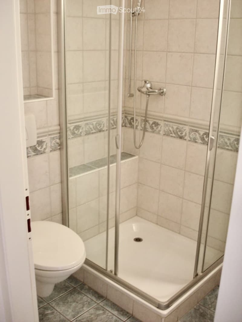 Modern bathroom with a white toilet, a glass-enclosed shower stall, and a chrome showerhead and faucet.