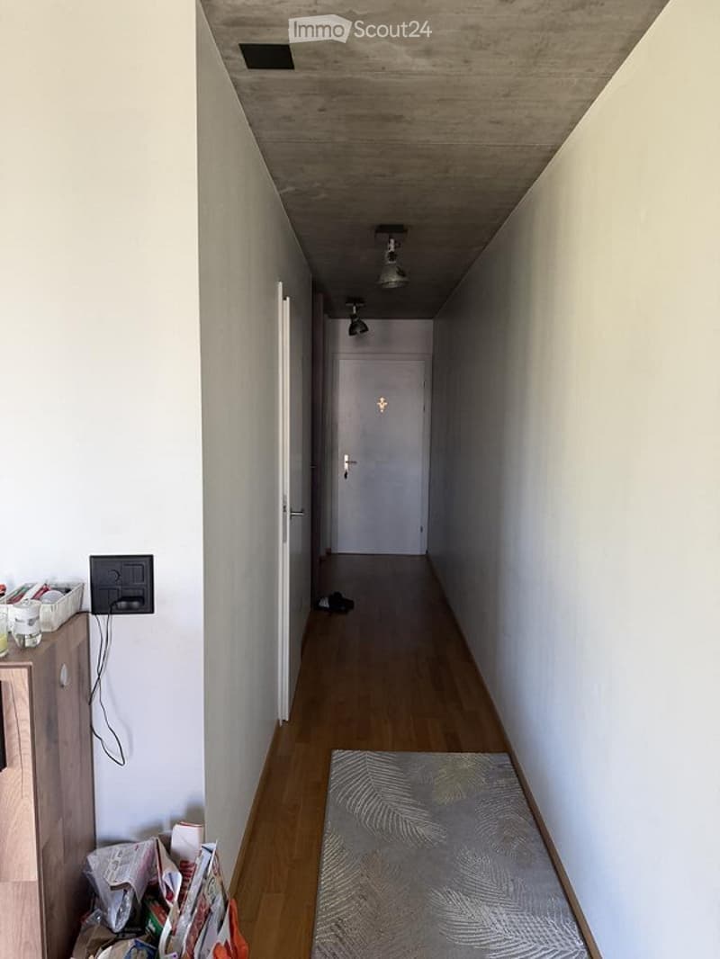 A narrow hallway with wooden flooring, white walls, and recessed ceiling lighting. A small rug is placed on the floor, and a wooden cabinet with some items is visible on the left side.